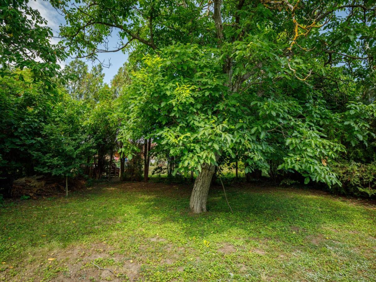 Holiday Home Pinus 2 By Interhome Balatonfůzfő エクステリア 写真